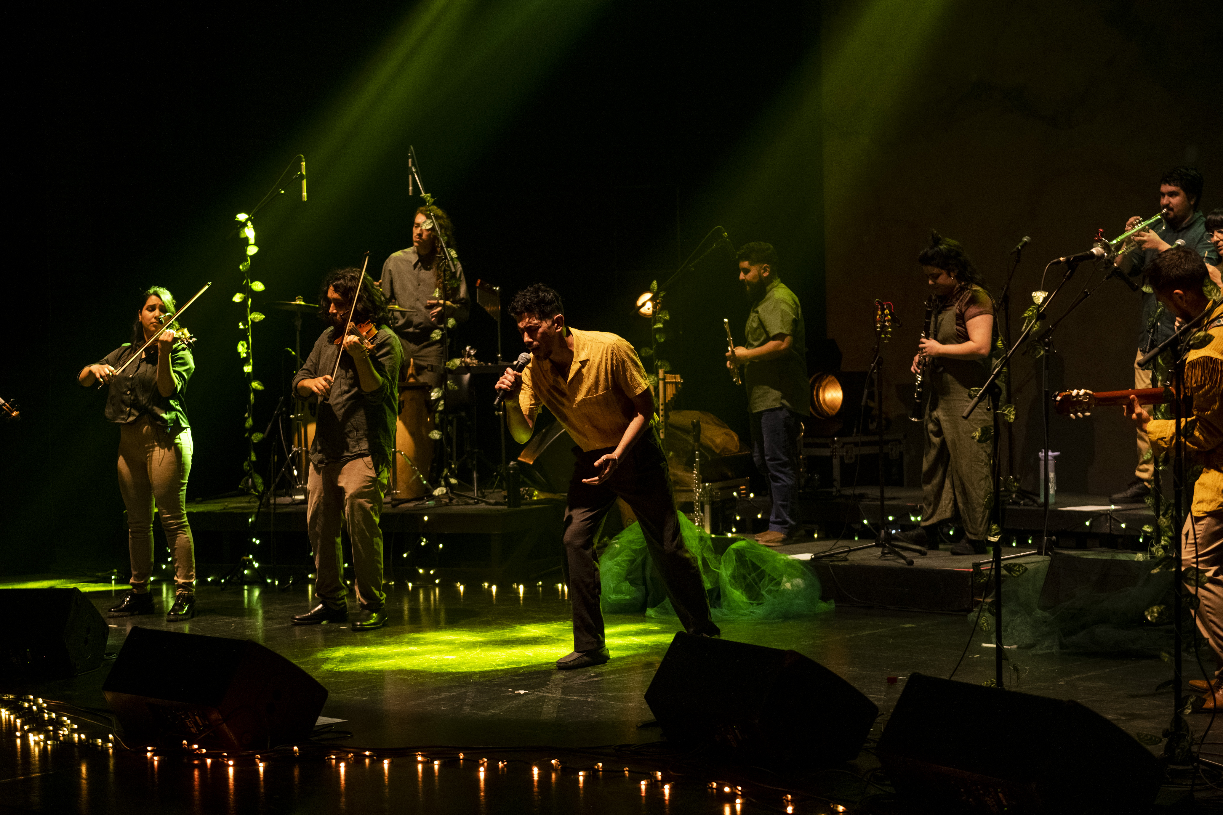 Concierto colectivo del ensamble con iluminación verde sobre el escenario.